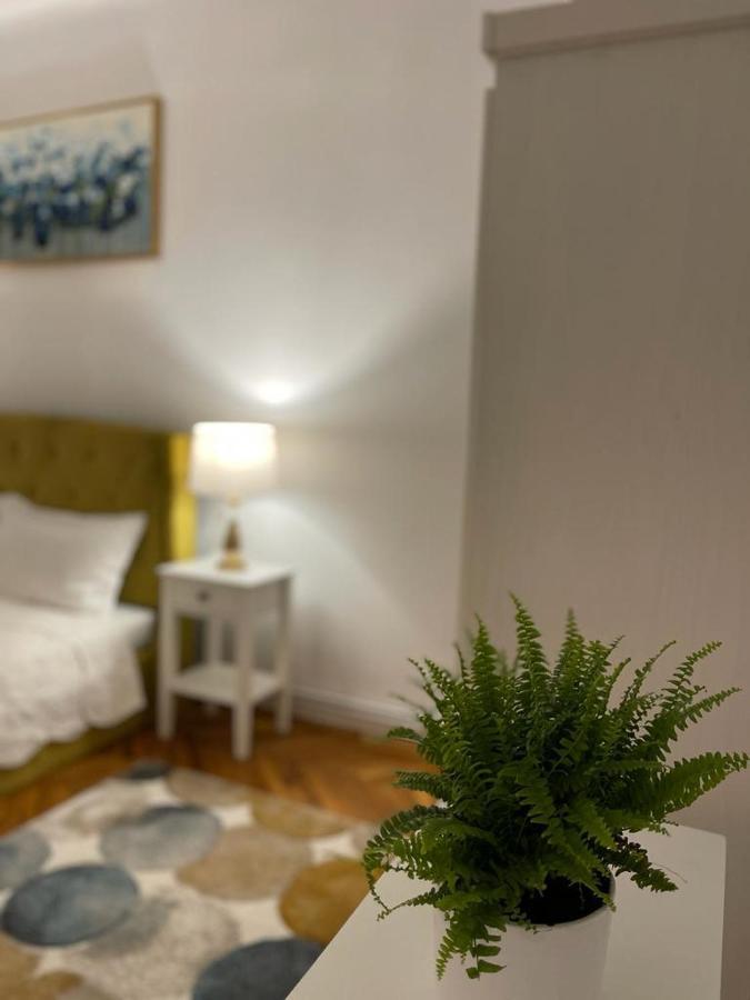 Cityviews Apartment Cluj מראה חיצוני תמונה