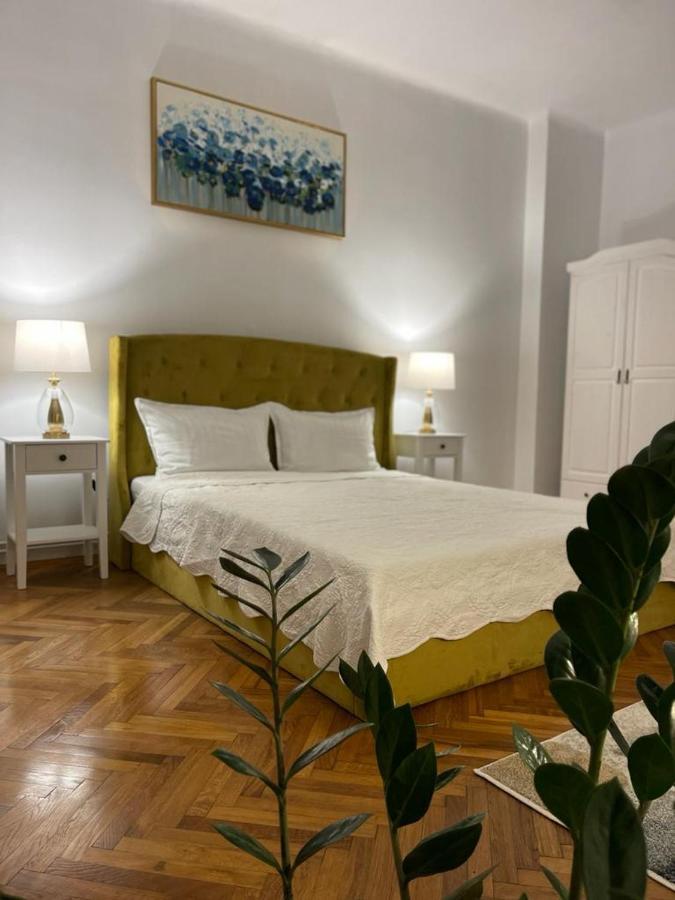 Cityviews Apartment Cluj מראה חיצוני תמונה
