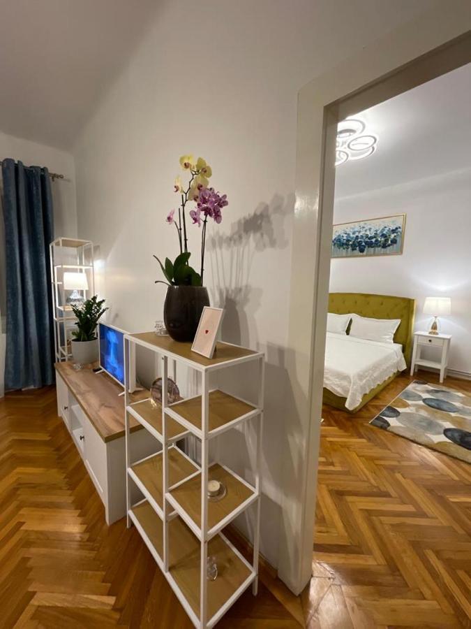 Cityviews Apartment Cluj מראה חיצוני תמונה