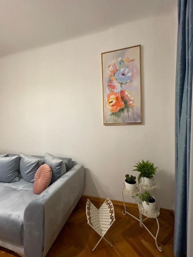 Cityviews Apartment Cluj מראה חיצוני תמונה