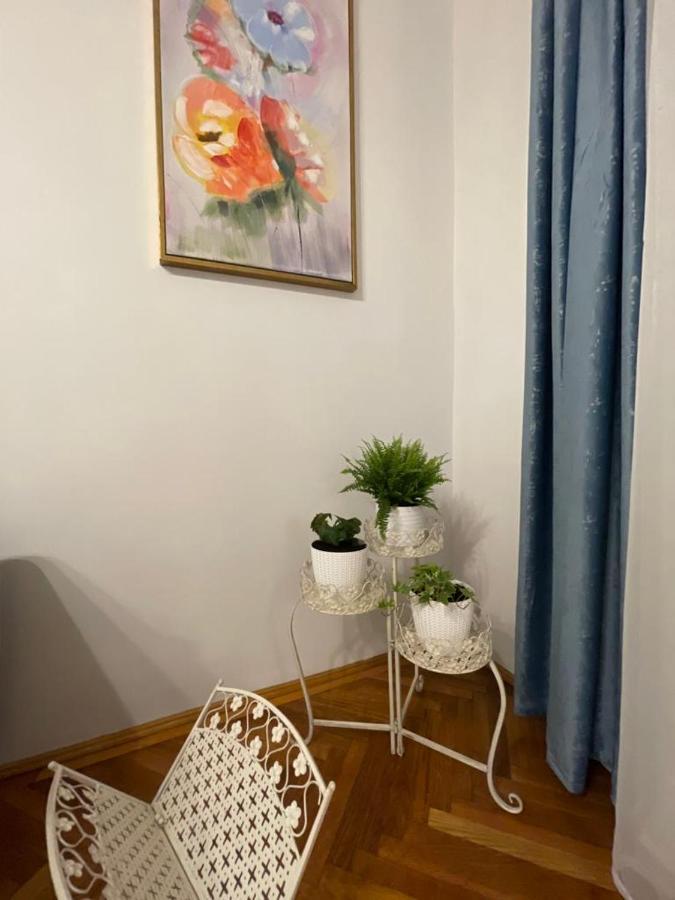 Cityviews Apartment Cluj מראה חיצוני תמונה