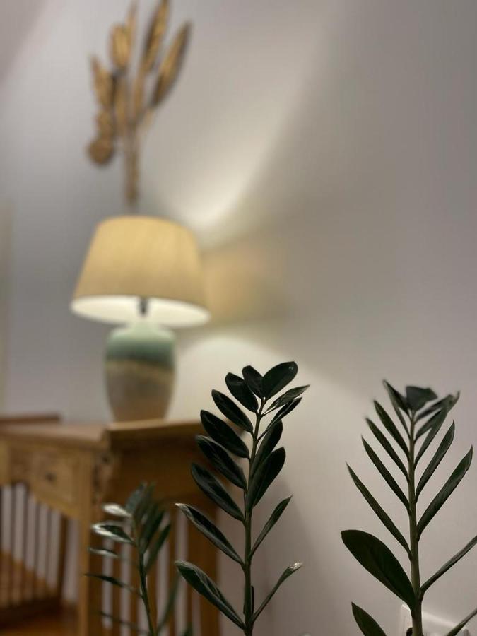 Cityviews Apartment Cluj מראה חיצוני תמונה