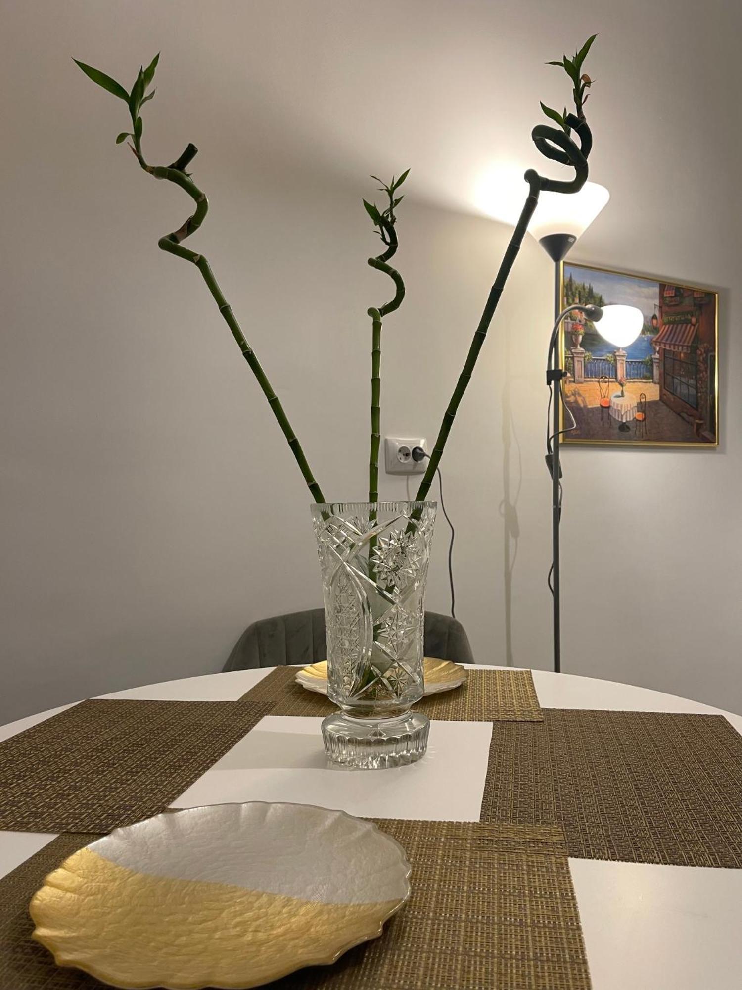 Cityviews Apartment Cluj מראה חיצוני תמונה